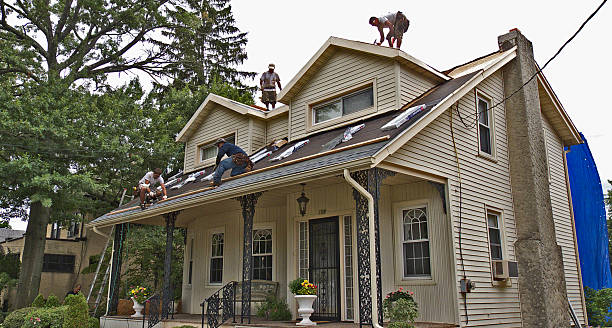 Best Roof Gutter Cleaning  in Georgetown, IN