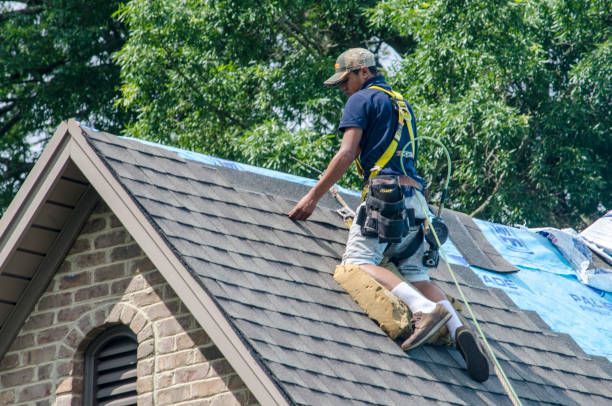 Best Residential Roofing Contractor  in Georgetown, IN